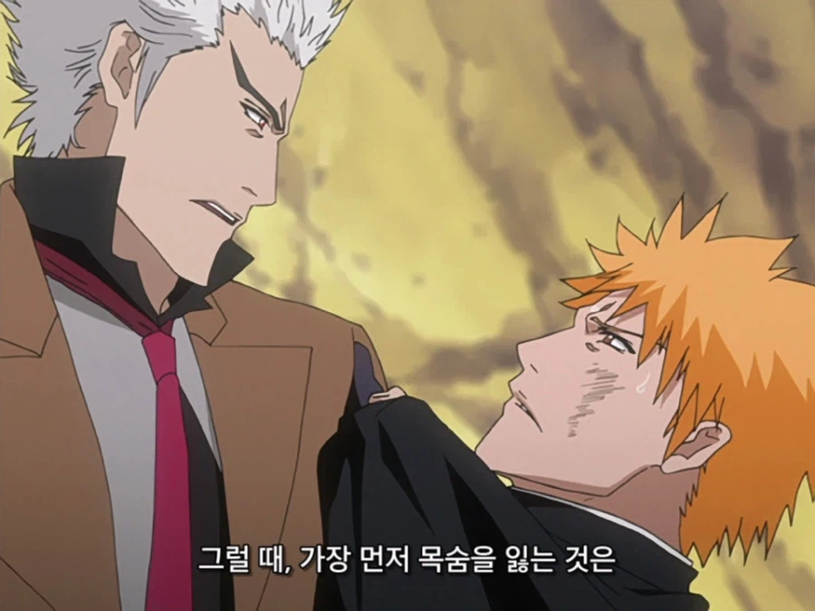 블리치 밈 『미안하군 나라서』 롱버전을 감상하자_35.webp