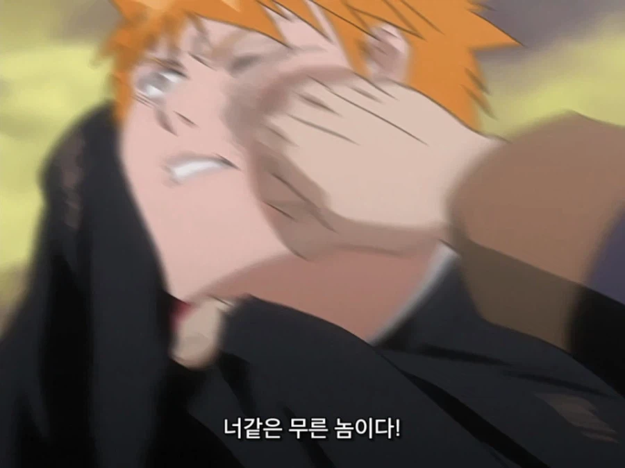 블리치 밈 『미안하군 나라서』 롱버전을 감상하자_36.webp