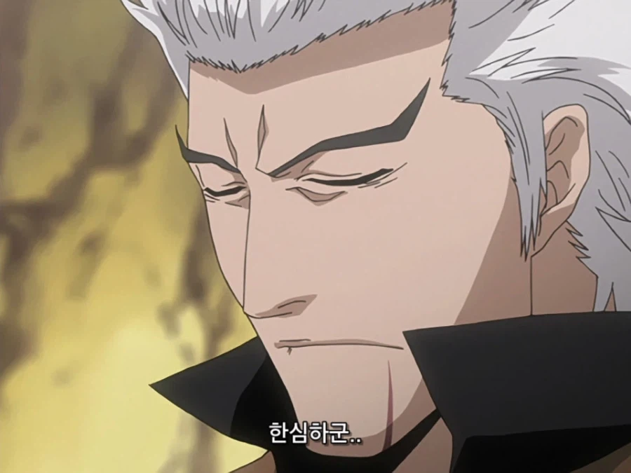 블리치 밈 『미안하군 나라서』 롱버전을 감상하자_39.webp