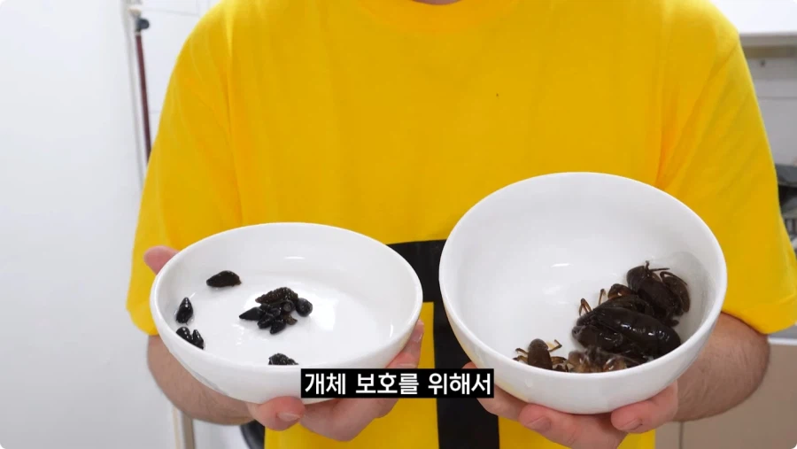 검정고무신에 나온 가재 매운탕 재현.jpg_5.webp