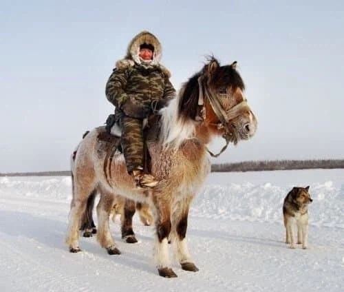 스콧이 남극탐험에 말을대려간이유_1.webp