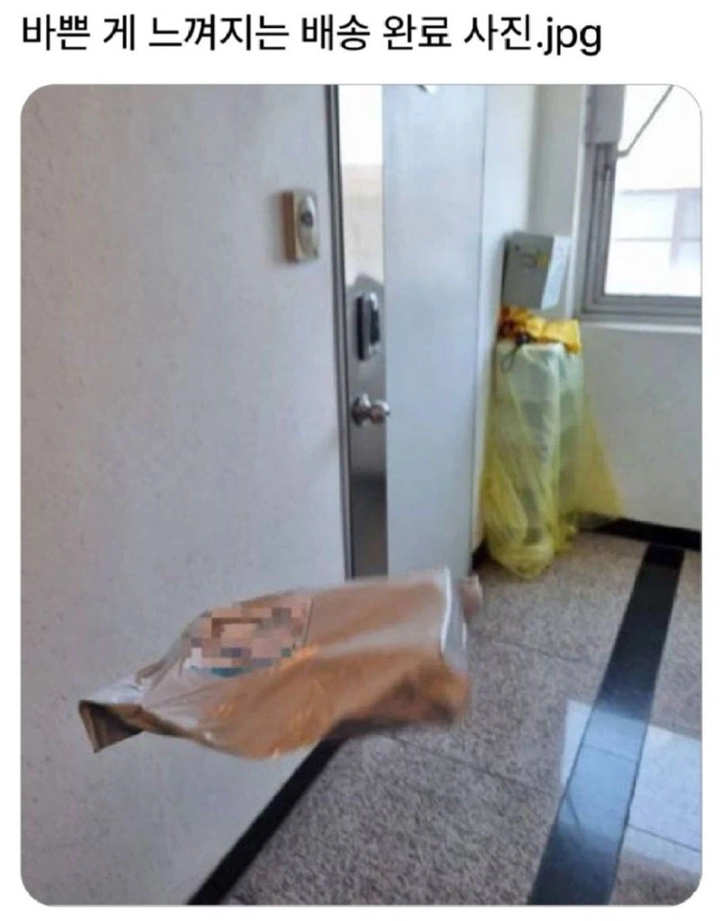 바쁜게 느껴지는...jpg._1.webp