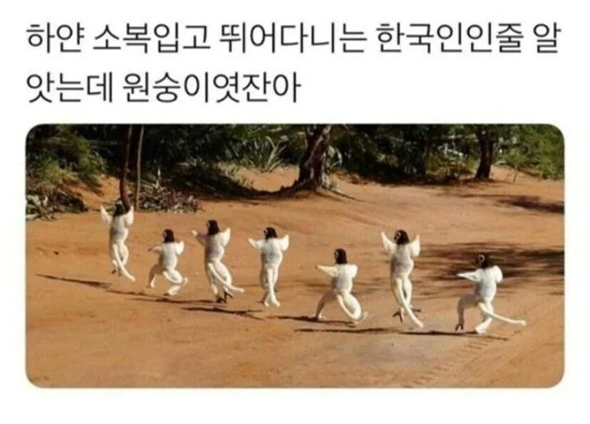 흰 한복입고 춤추는 한국인_1.webp