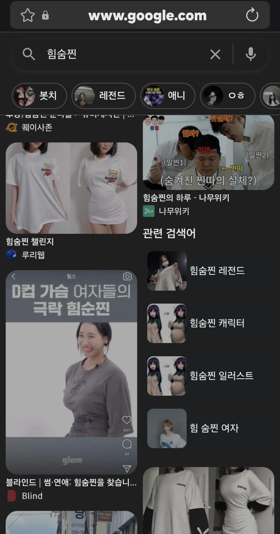 구굴에서 힘숨찐 검색하면 뜨는거_1.webp