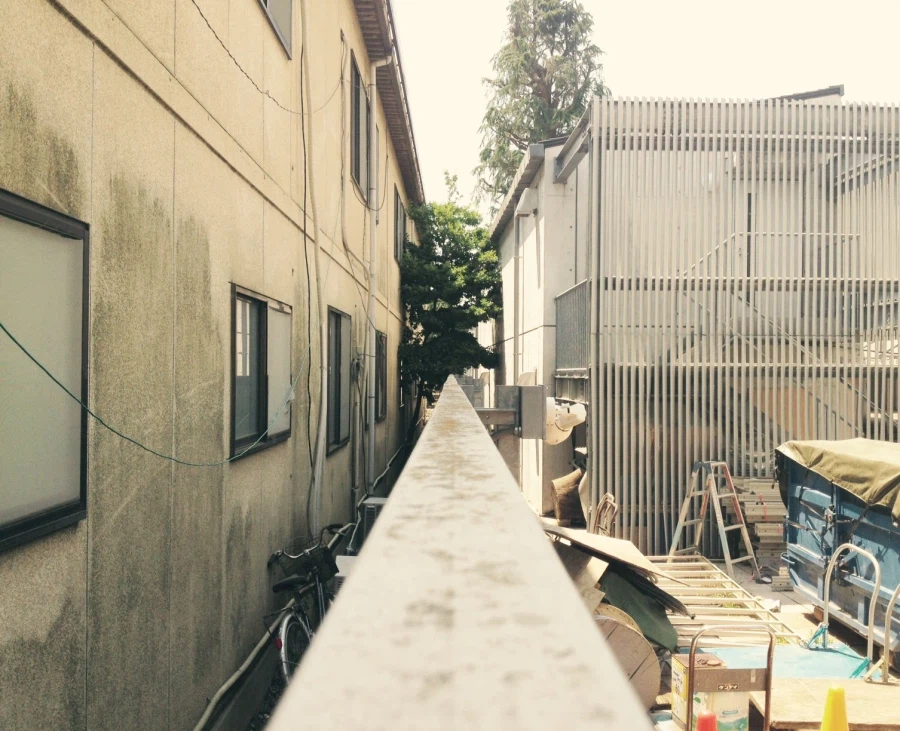 담 하나 사이에 두고 교류 하나 없던 두 대학.jpg_3.webp