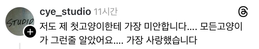 너무 착하고 완벽했던 첫째 고양이.jpg_2.webp