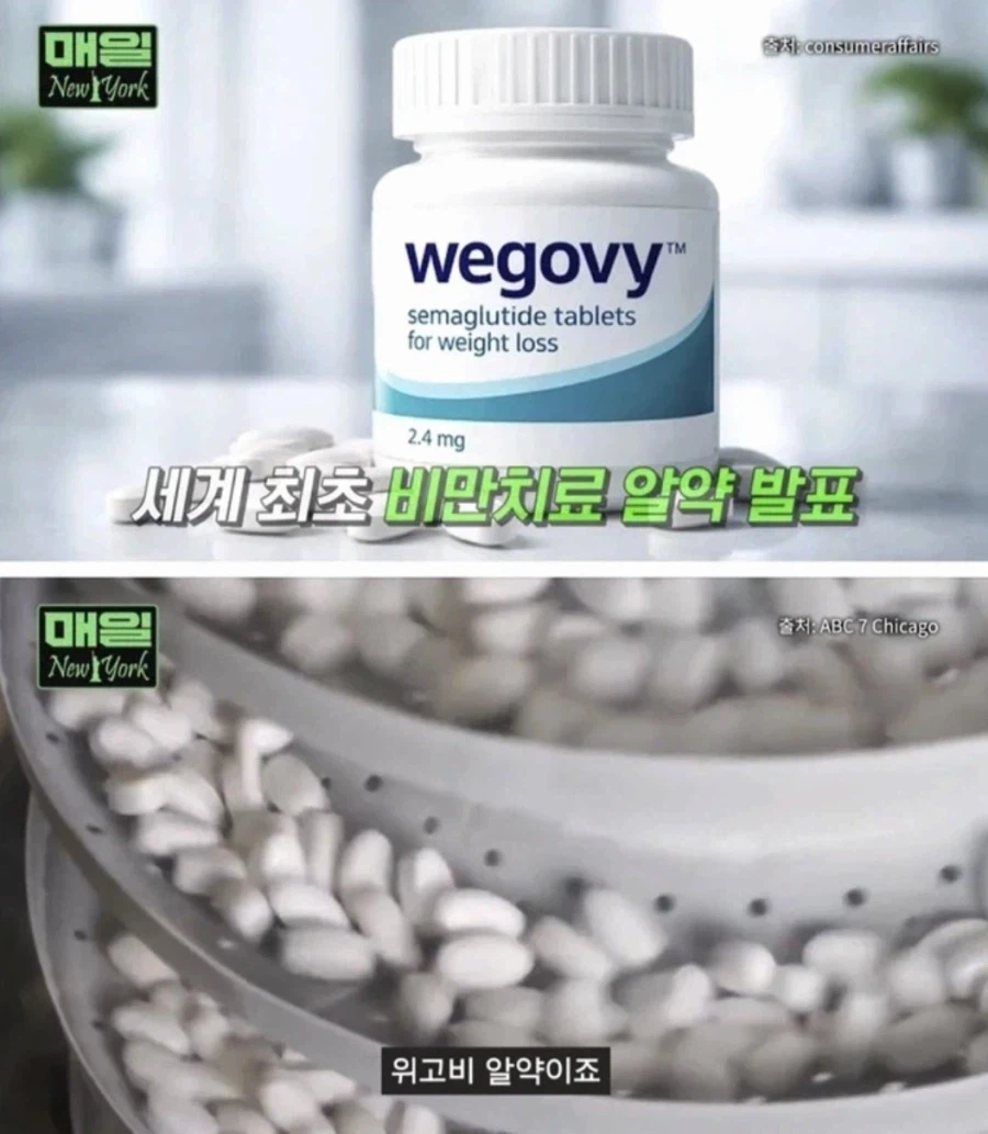 인간이 호르몬의 노예라는데_1.webp