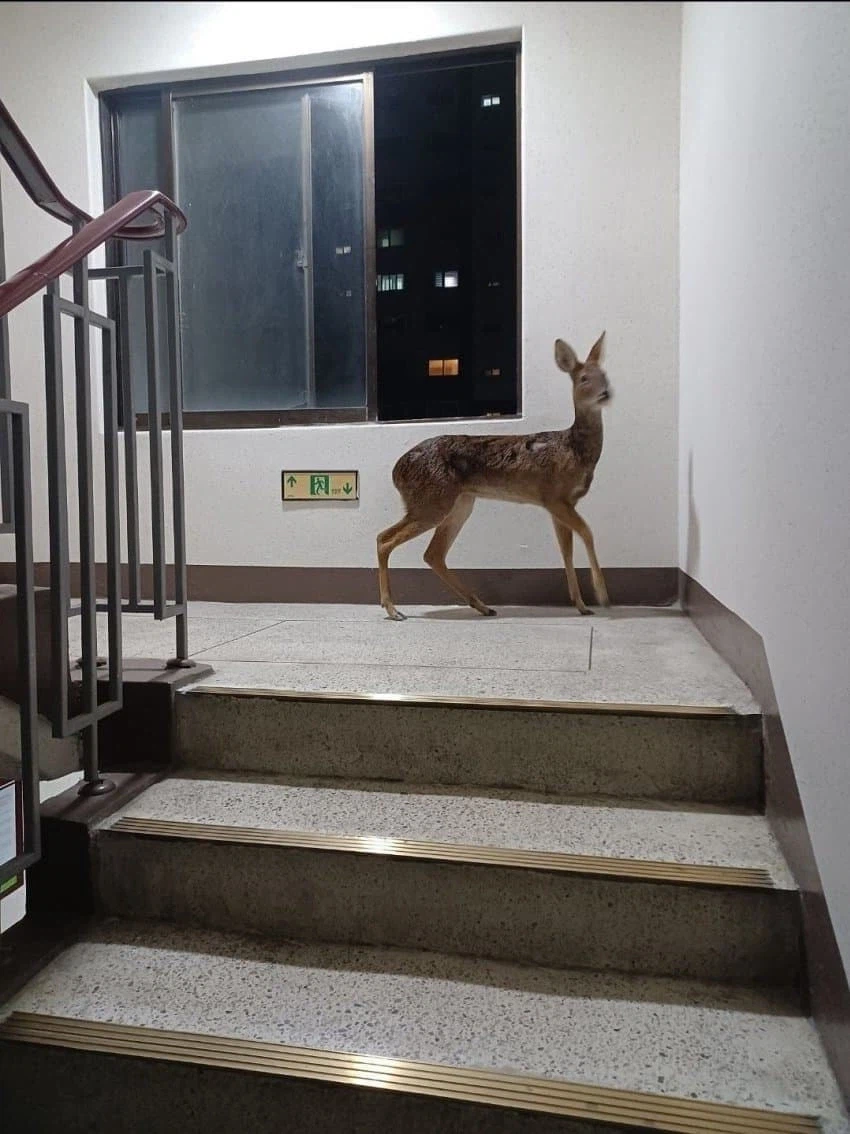 배달 중 만난 국민 진상_1.webp