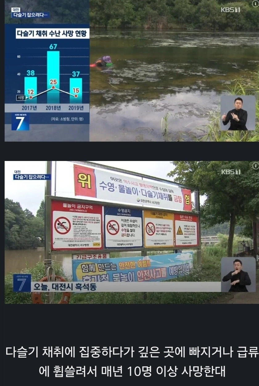 한국에서 매년 10명 이상 사람을 죽이는 야생동물_1.webp