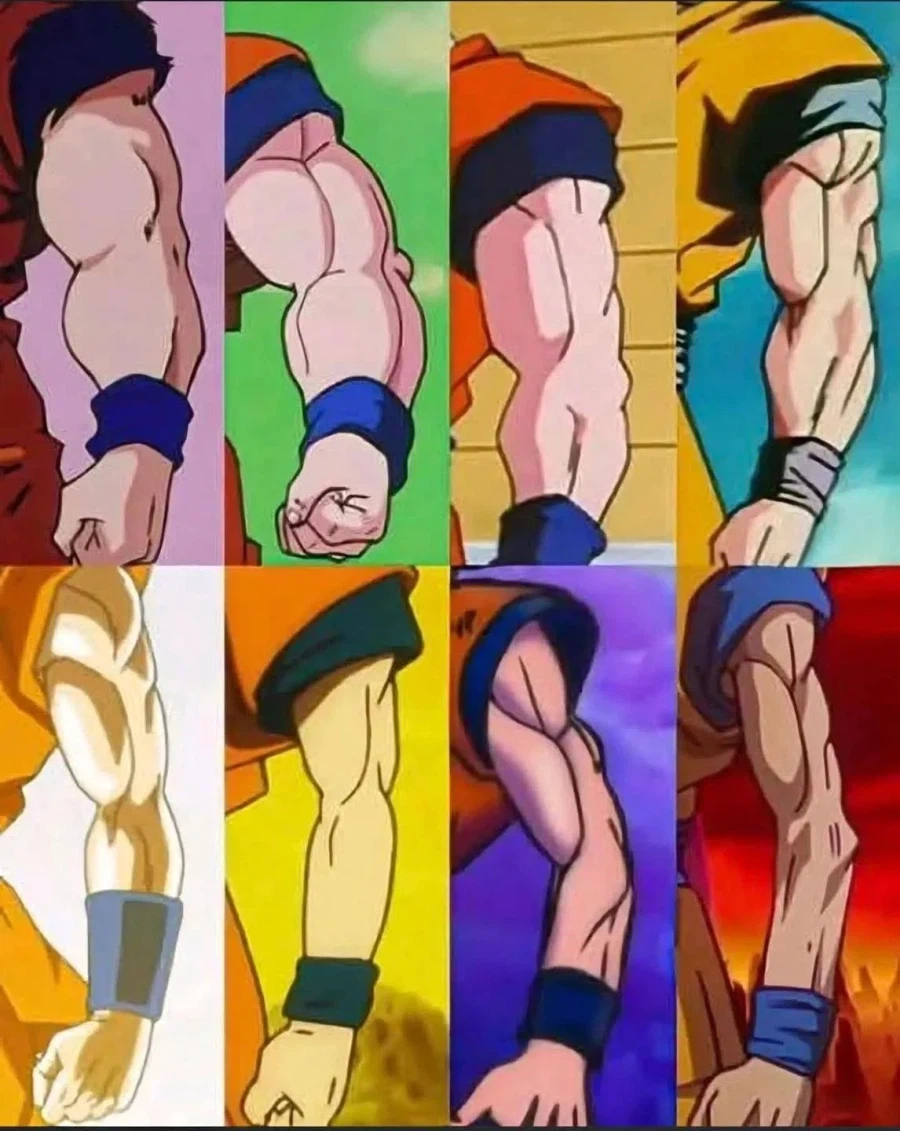 손고쿠 의 팔 변화_1.webp