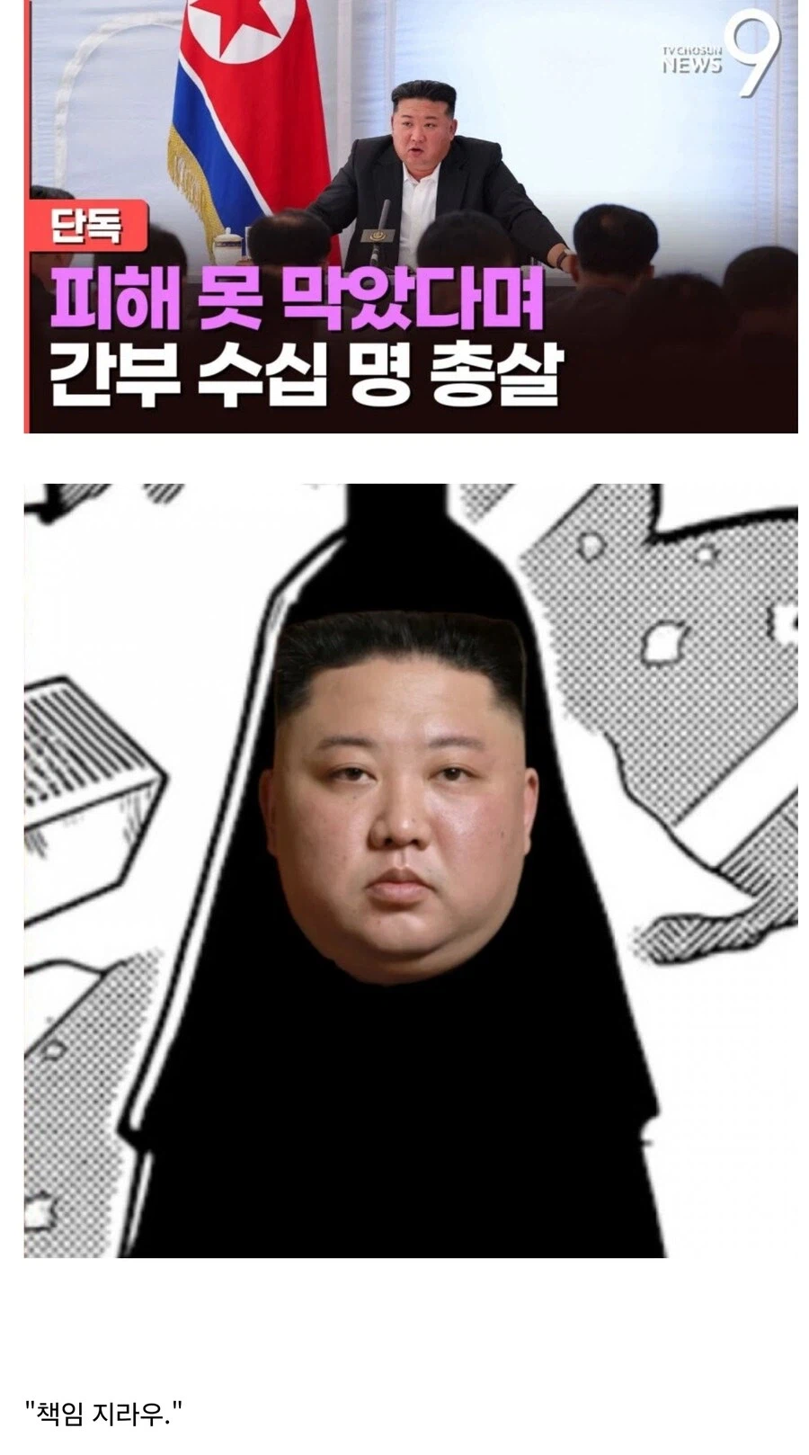 원피스 드디어 밝혀진 임의 정채_1.webp