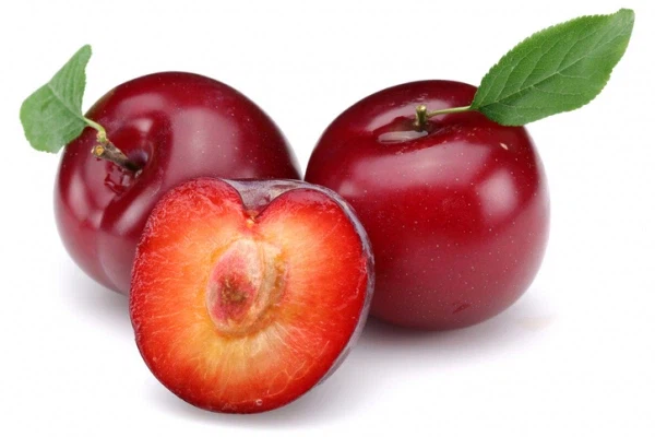 불면증에 효과가 탁월한 과일_1.webp