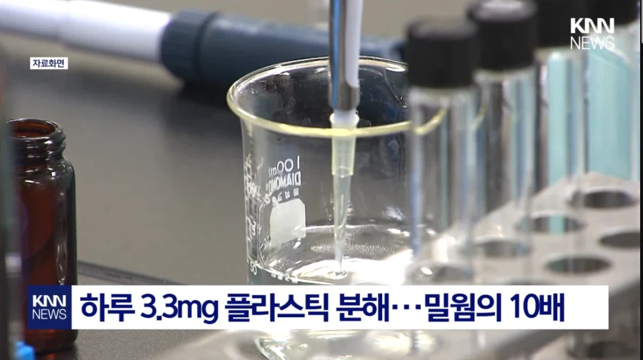 마침내 발견된 바퀴벌레의 순기능_2.webp