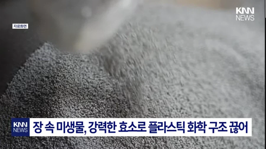 마침내 발견된 바퀴벌레의 순기능_3.webp