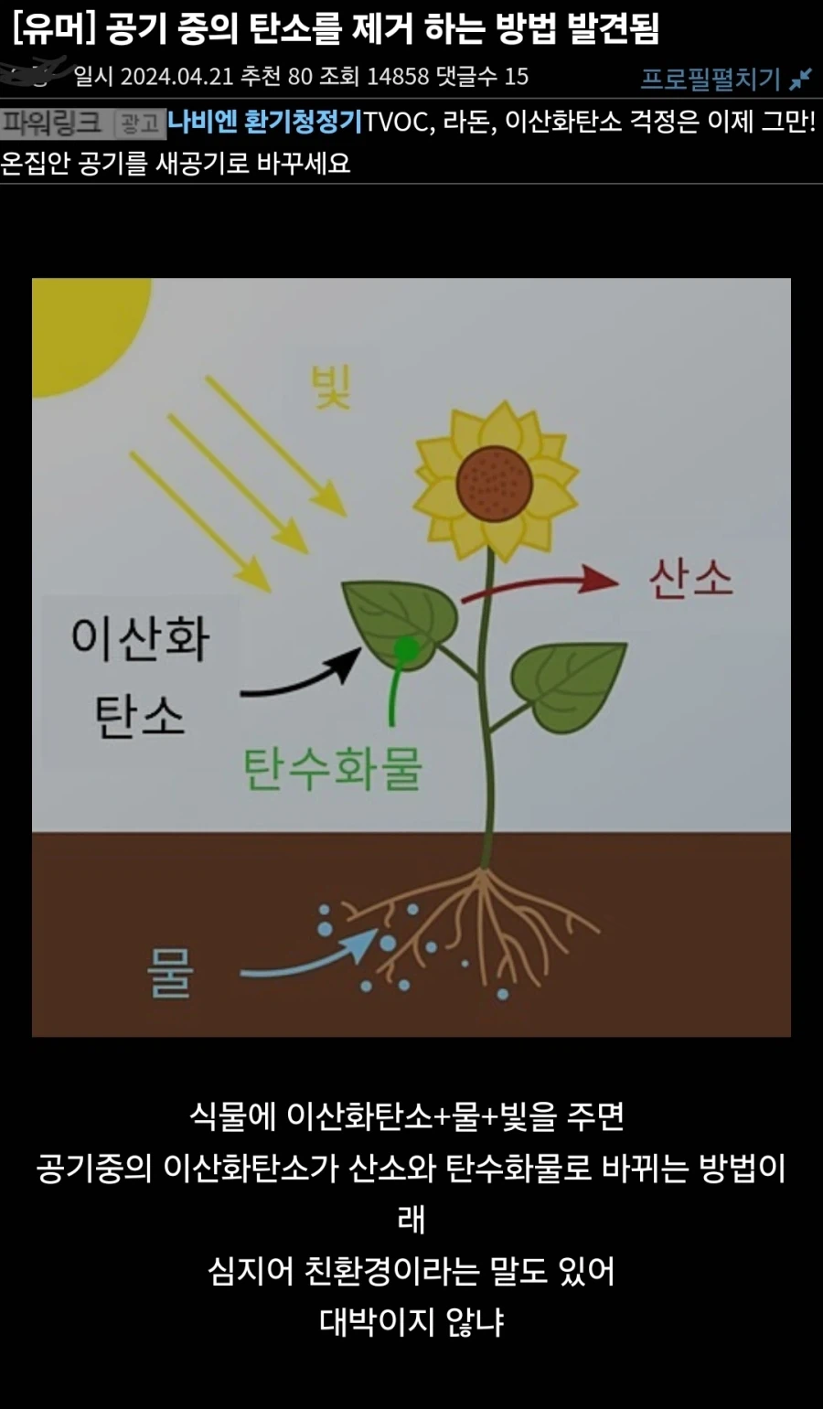 공기중의 탄소를 제거하는 방법 발견됨_1.webp