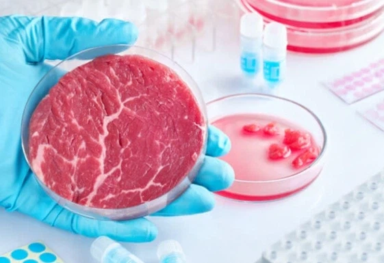 제미나이가 예상하는 근미래 기술_1.webp