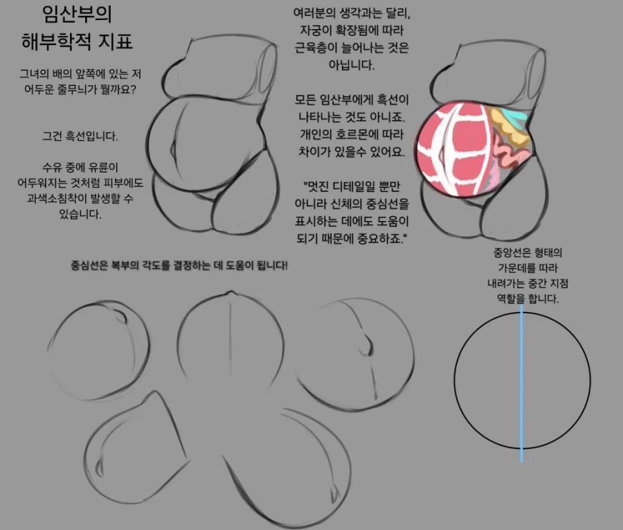 임신한 배 그리는 방법_2.webp