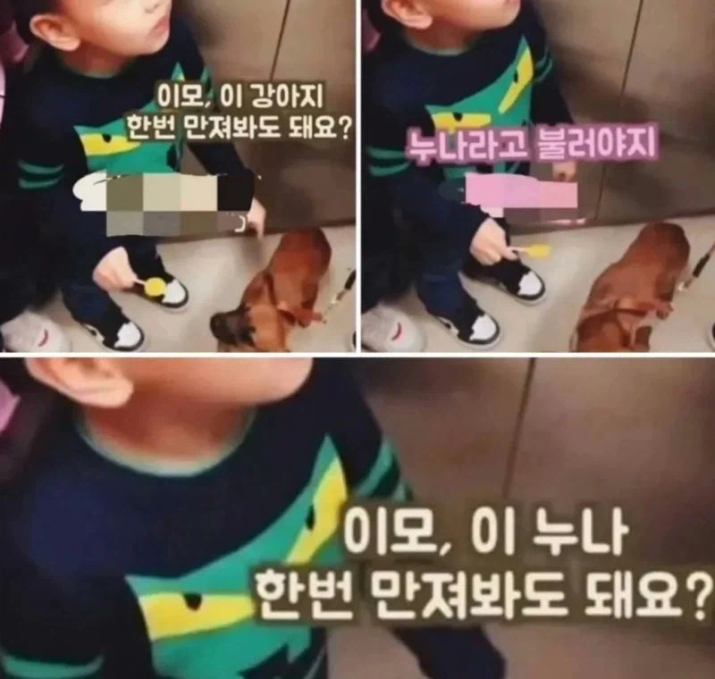 애들은 거짓말 못해_1.webp