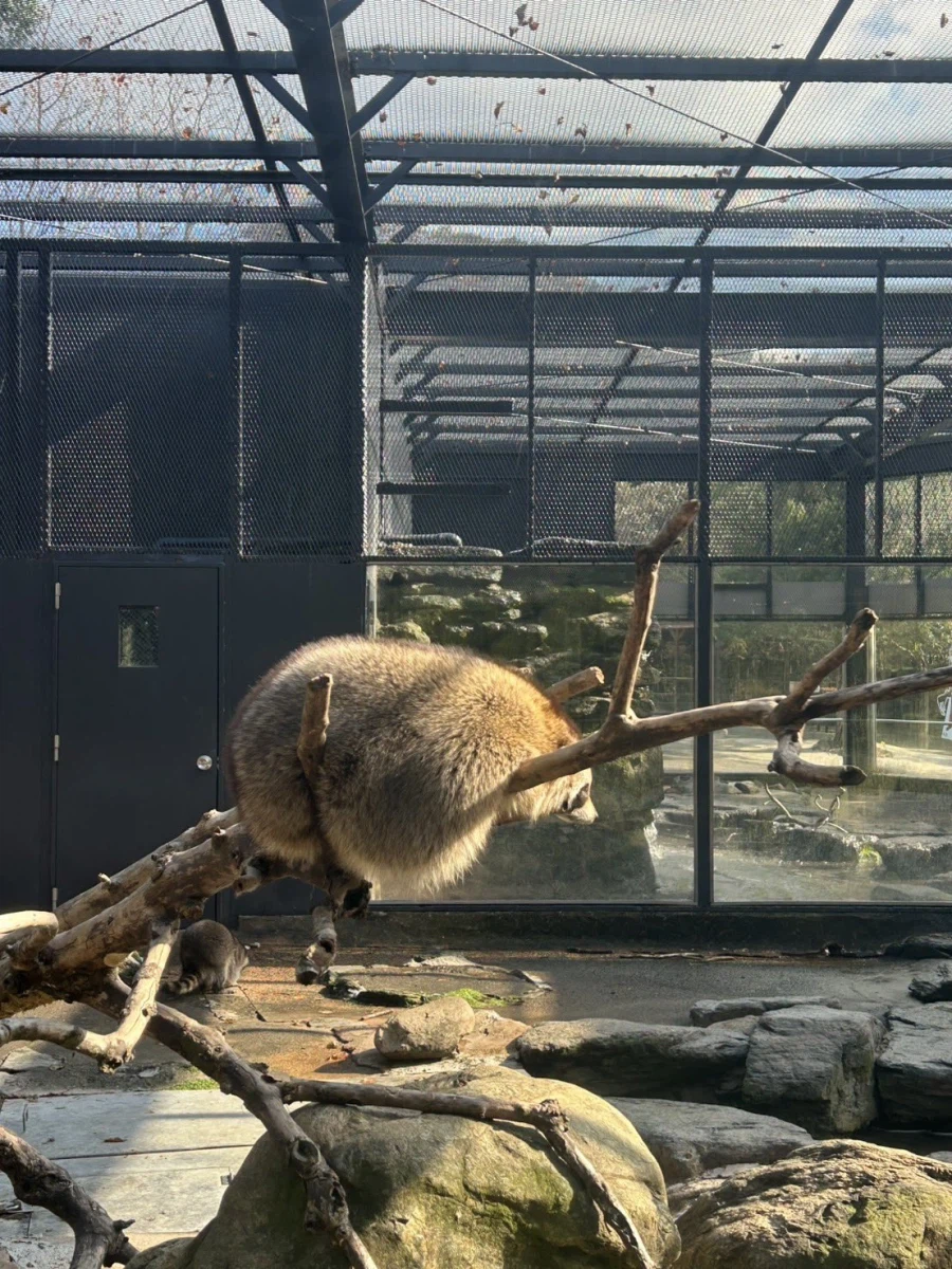 푸딩푸딩한 엉덩이_1.webp