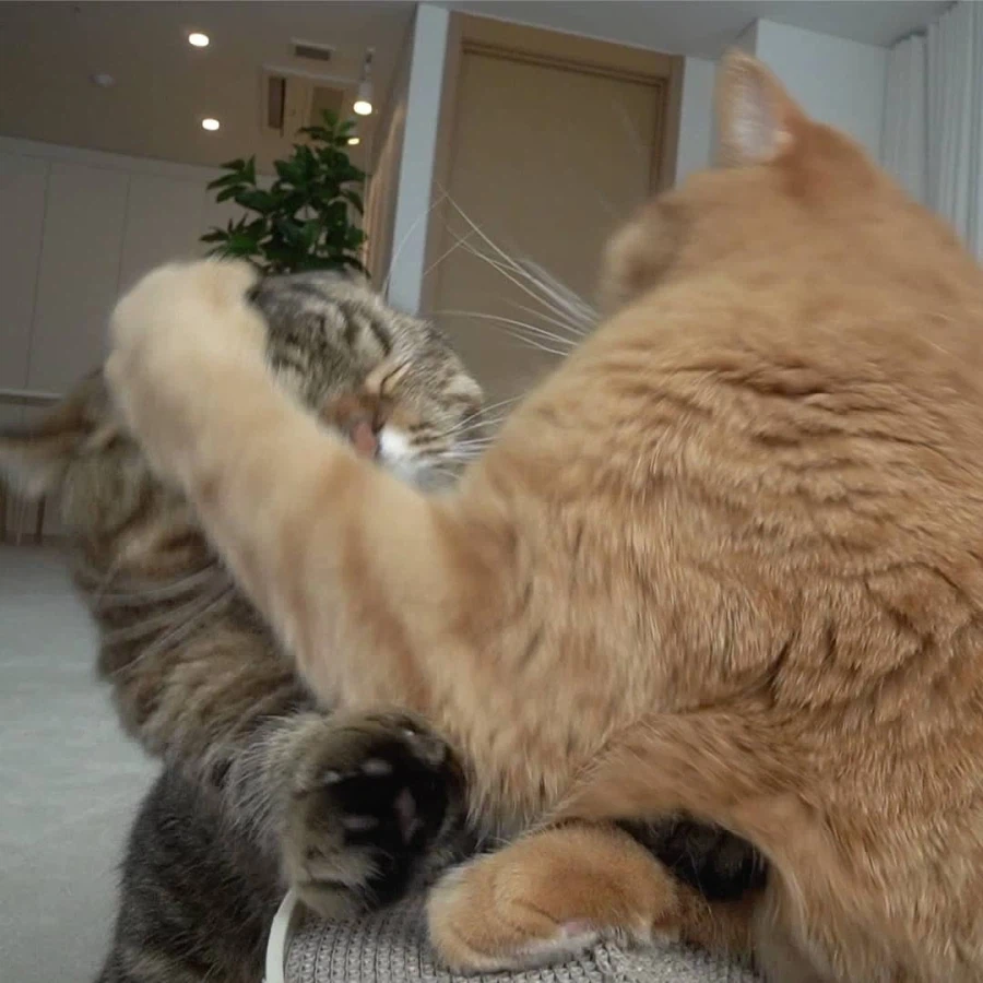 나 사실 애기임_1.webp