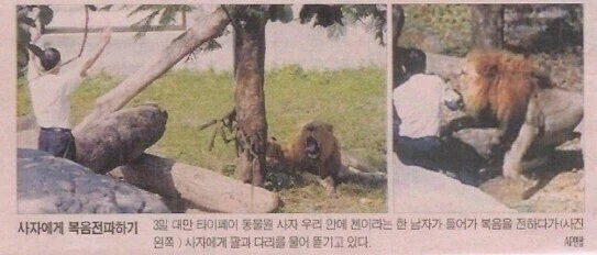 사자에게 복음을 전파하려 한 전도사_1.webp