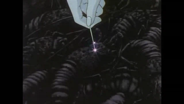 요리왕 비룡 - 어장관리 최대 피해자_9.webp