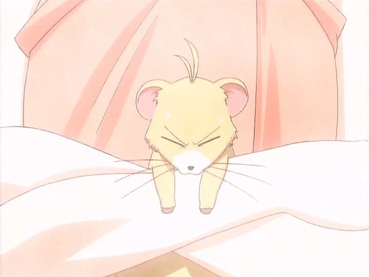 마법소녀 마스코트랑 온천에 들어가는 애니메이션_12.webp