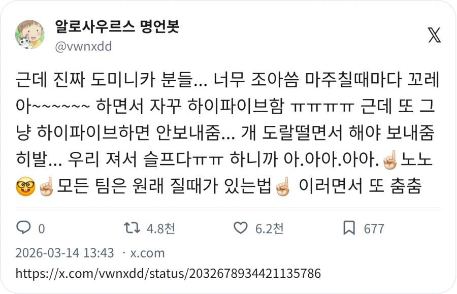 WBC) 도미니카 팬 수준_1.webp