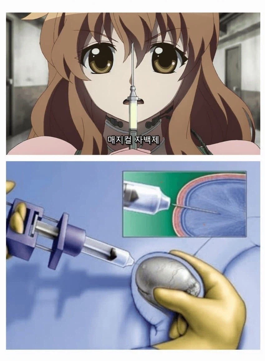 확실하게 불어주는 매지컬 자백제!_1.webp