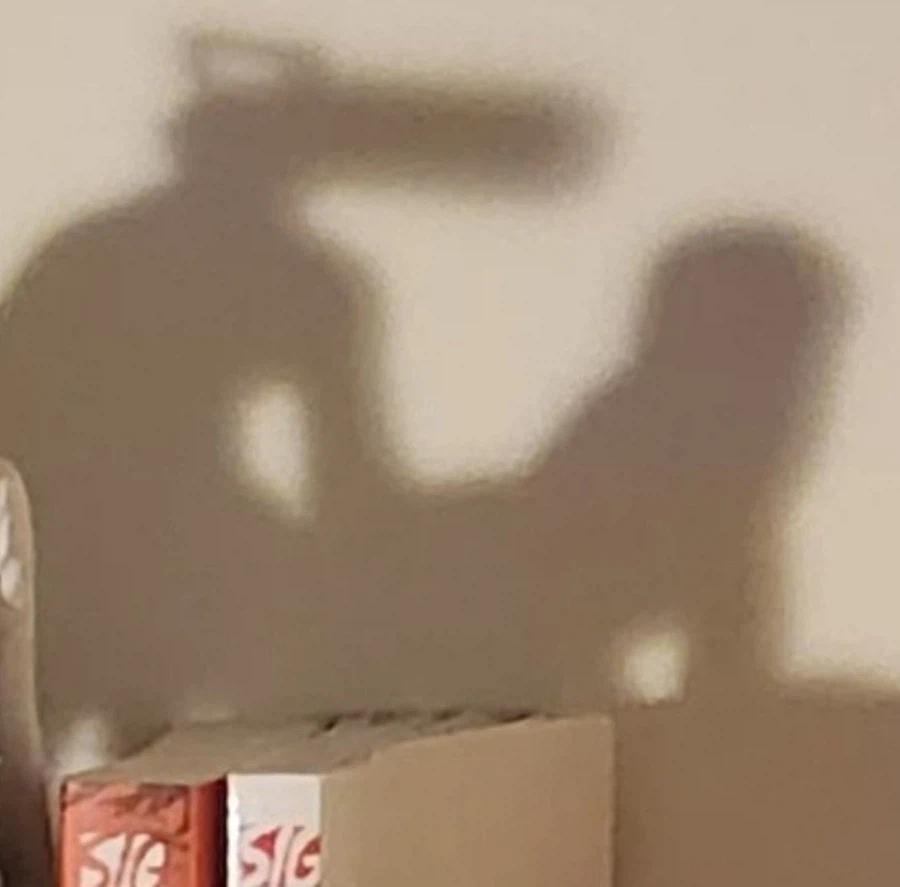 체인소맨 피규어 진풍경_2.webp