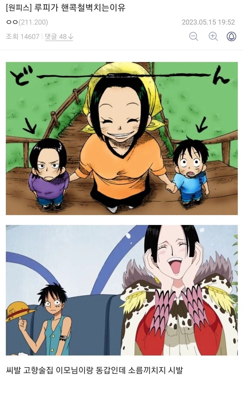 원피스 루피 TS가 위험한 이유_2.webp