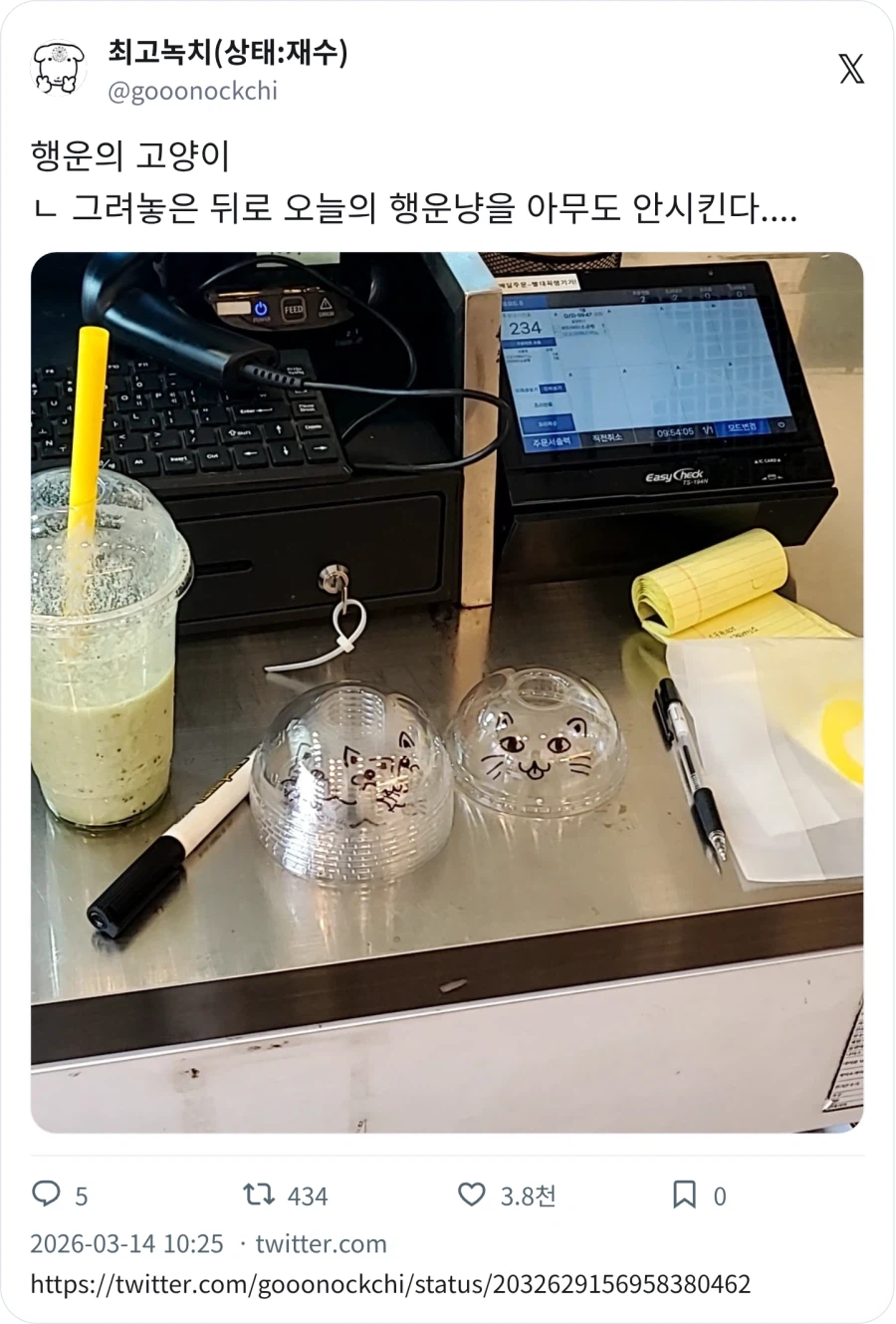 행운의 고양이_1.webp