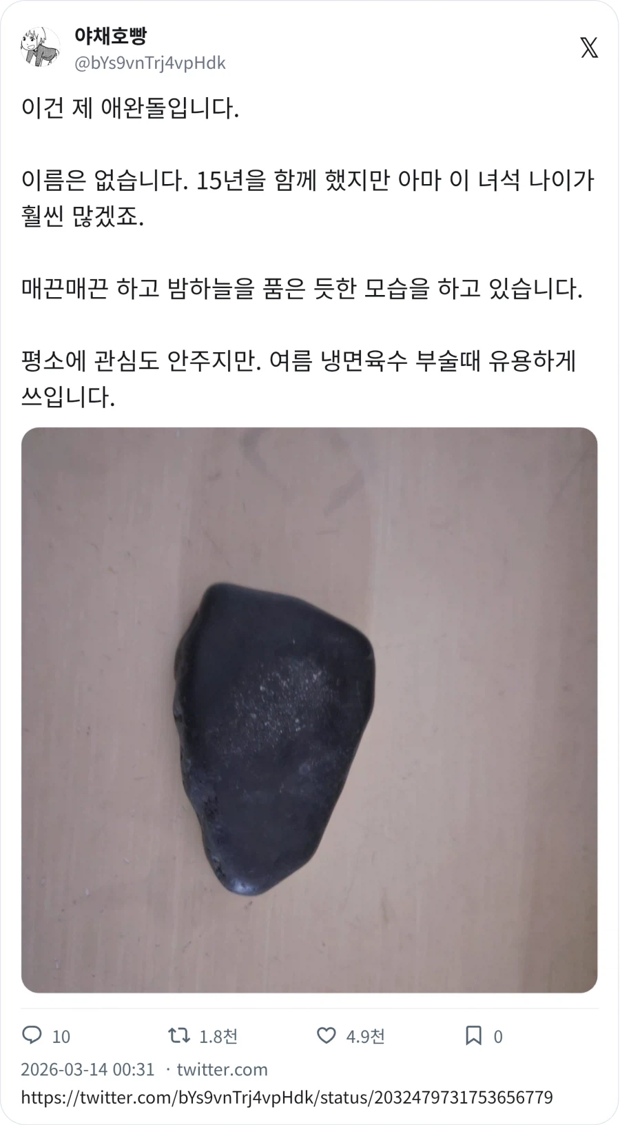 애완돌 15년차_1.webp