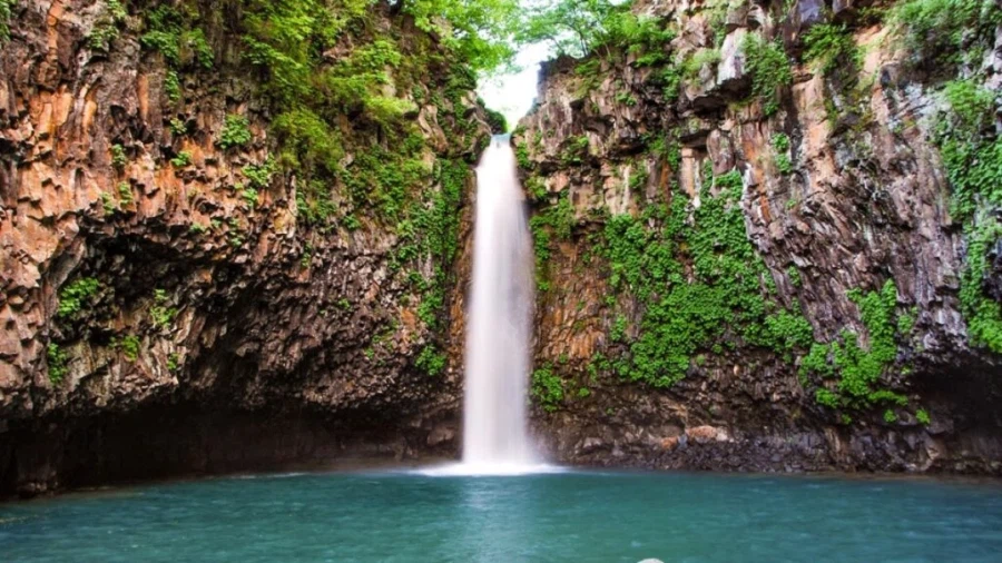 꿈잘알들이 꿈 중에서도 최악의 꿈으로 치는 것_1.webp