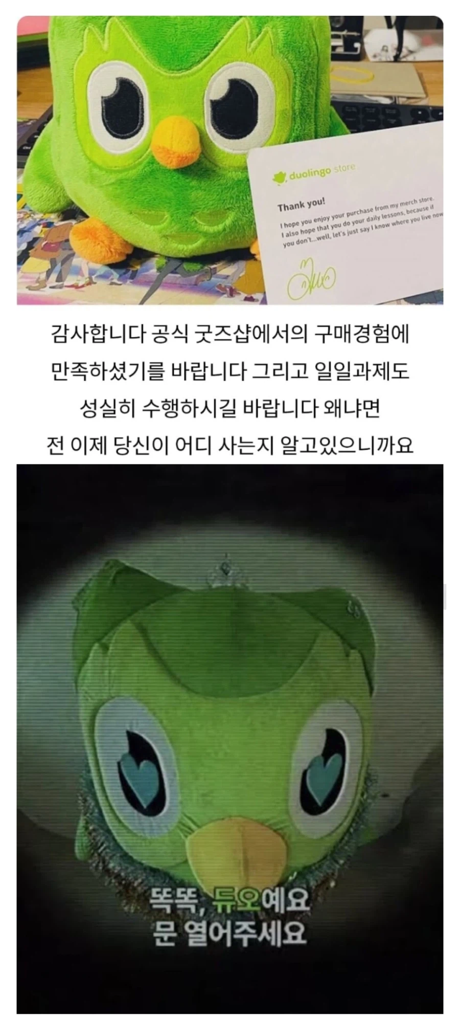 듀오링고 공식굿즈가 위험한 이유.jpg_1.webp