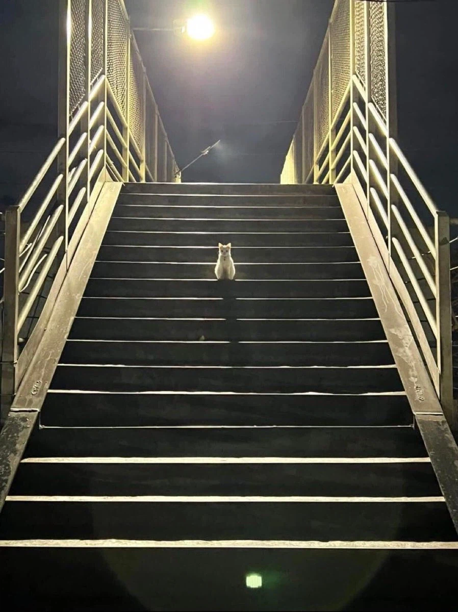 스토리 중간에 도와준 캐릭터_1.webp