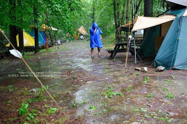 캠핑을 이해하지 못하는 사람들의 사고의 흐름.jpg_1.webp