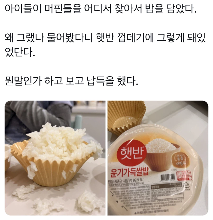 아이들이 머핀틀에 밥을 담은 이유.jpg_1.webp