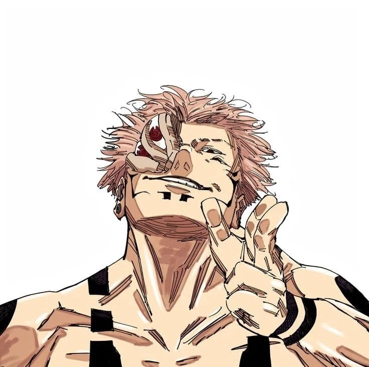 주술회전 ???:스쿠나님의 용안이 어떻다고 그러냐_1.webp