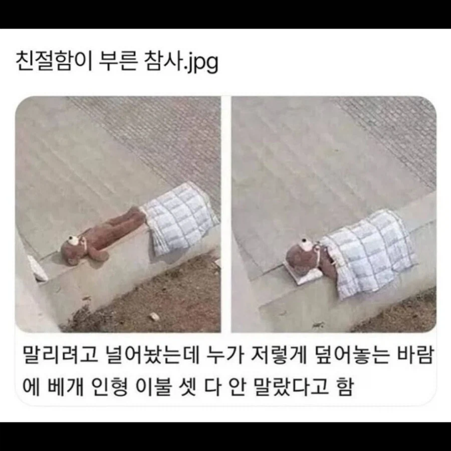 친절함이 부른 참사_1.webp