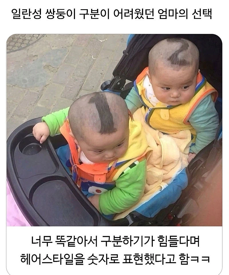 일란성 쌍둥이 구분이 어려웠던 엄마의 선택_1.webp