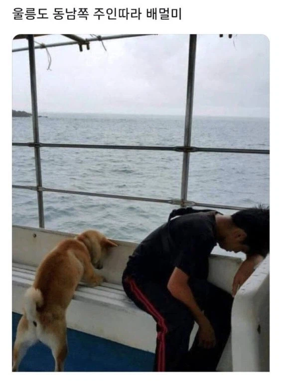 울릉도 동남쪽 주인따라 배멀미_1.webp