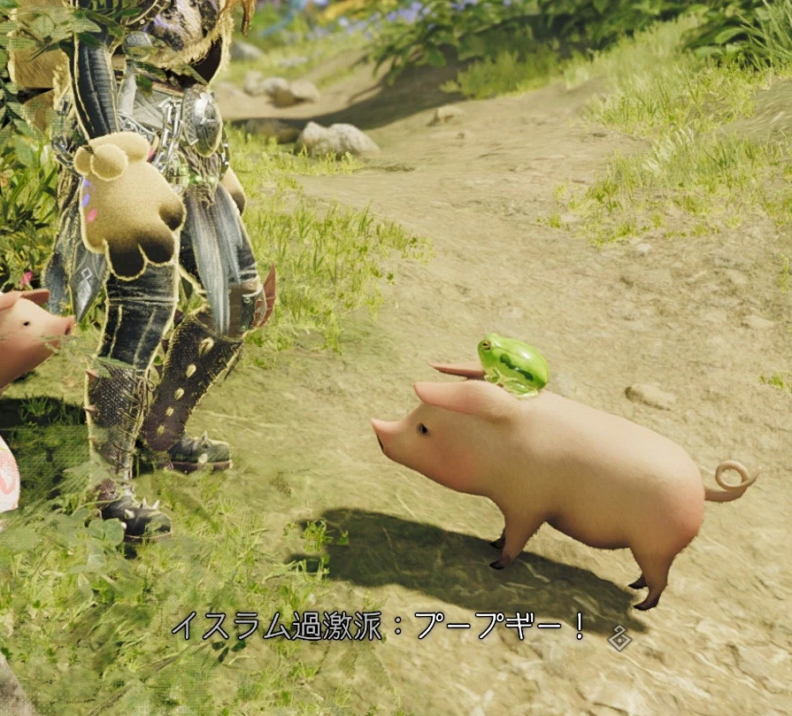 위험한 돼지 이름.jpg_1.webp