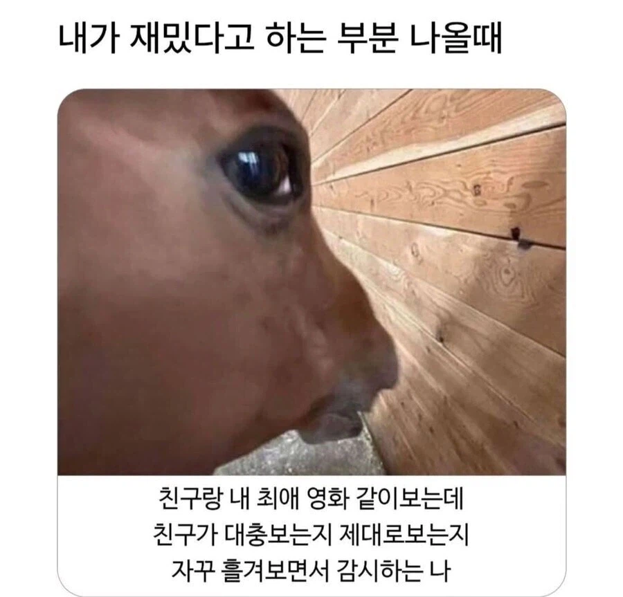 최애작품 추천하고 같이 볼 때_1.webp