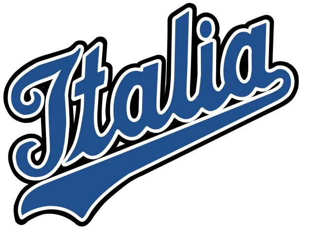 WBC 결승전 예상해본다_2.webp