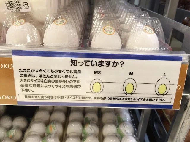 특란 달걀의 배신_1.webp