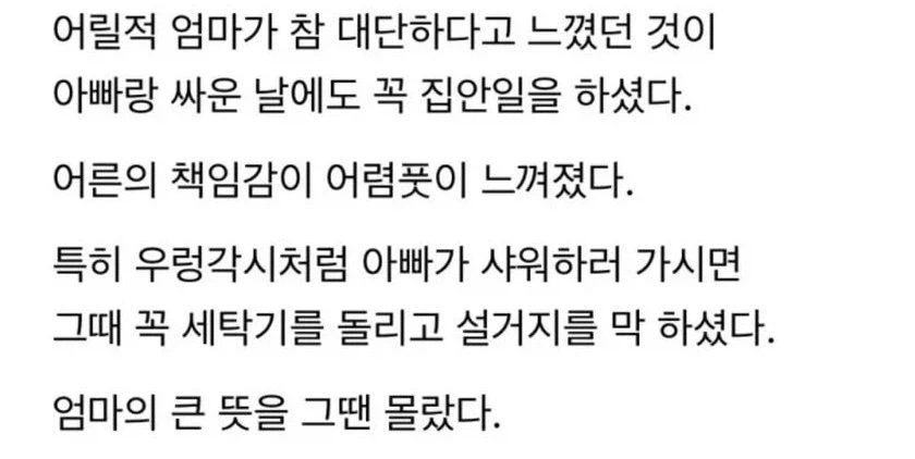 아빠랑 싸운 날에도 꼭 집안일을 하던 엄마_1.webp