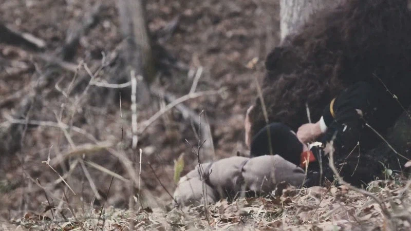 산에서 가장 조심해야하는 존재_14.webp