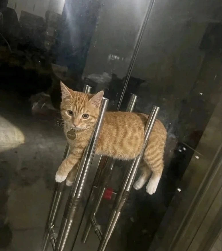 가게문을 못 여는 이유_1.webp