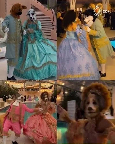 미국 상류층들은 퍼리 파티중_2.webp